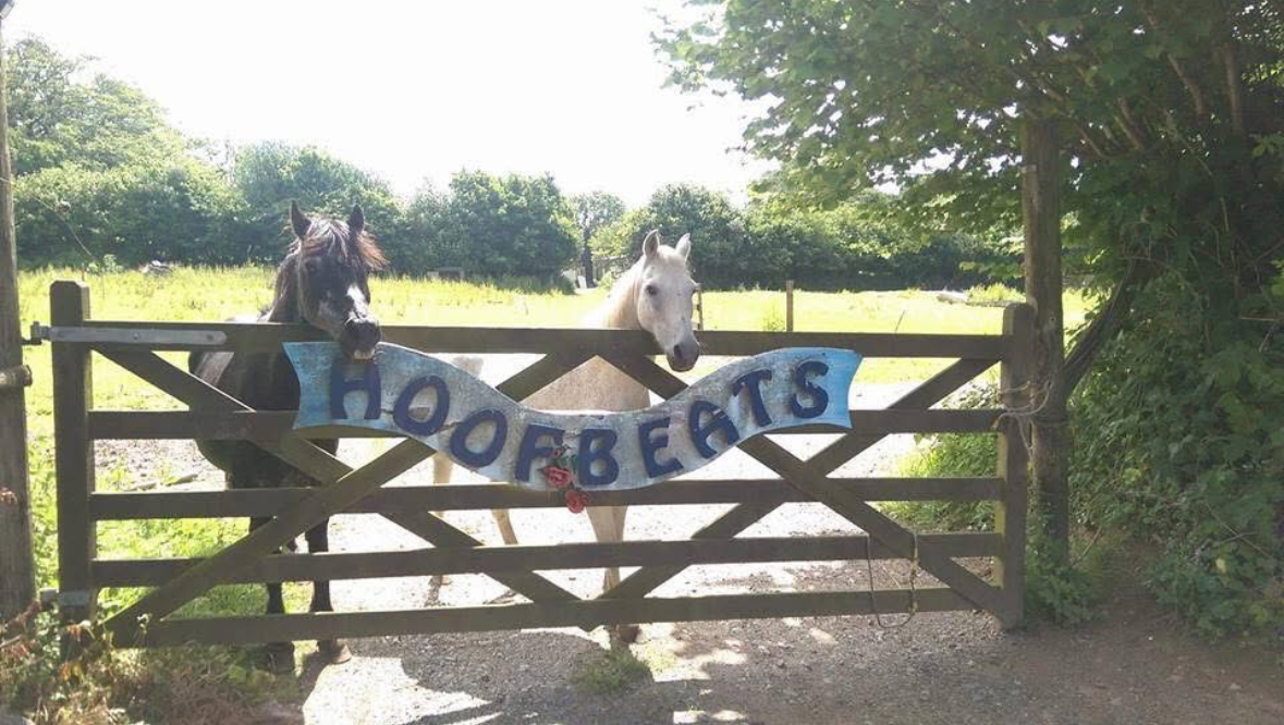 Raising funds to support the ponies photo