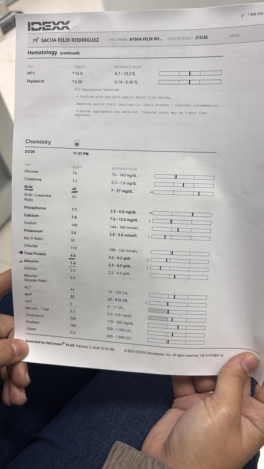 Fondos para Sasha campaign photo, 4 of 8