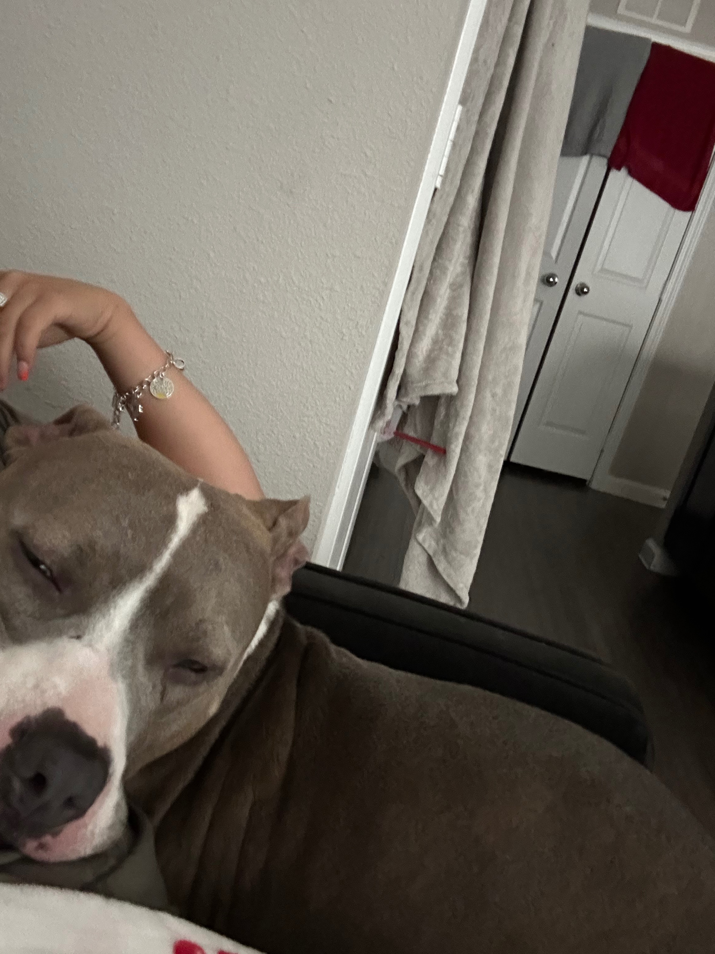 Help Me Save Daisy’s Life campaign photo, 4 of 5