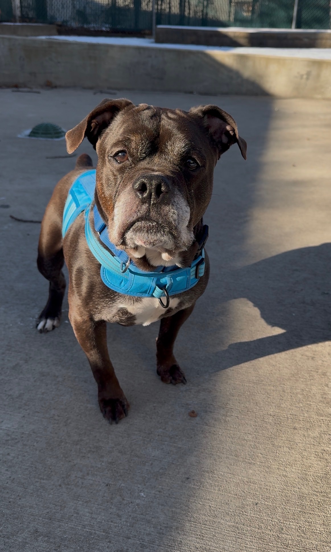 Help Us Help Ozzy! campaign photo, 5 of 6