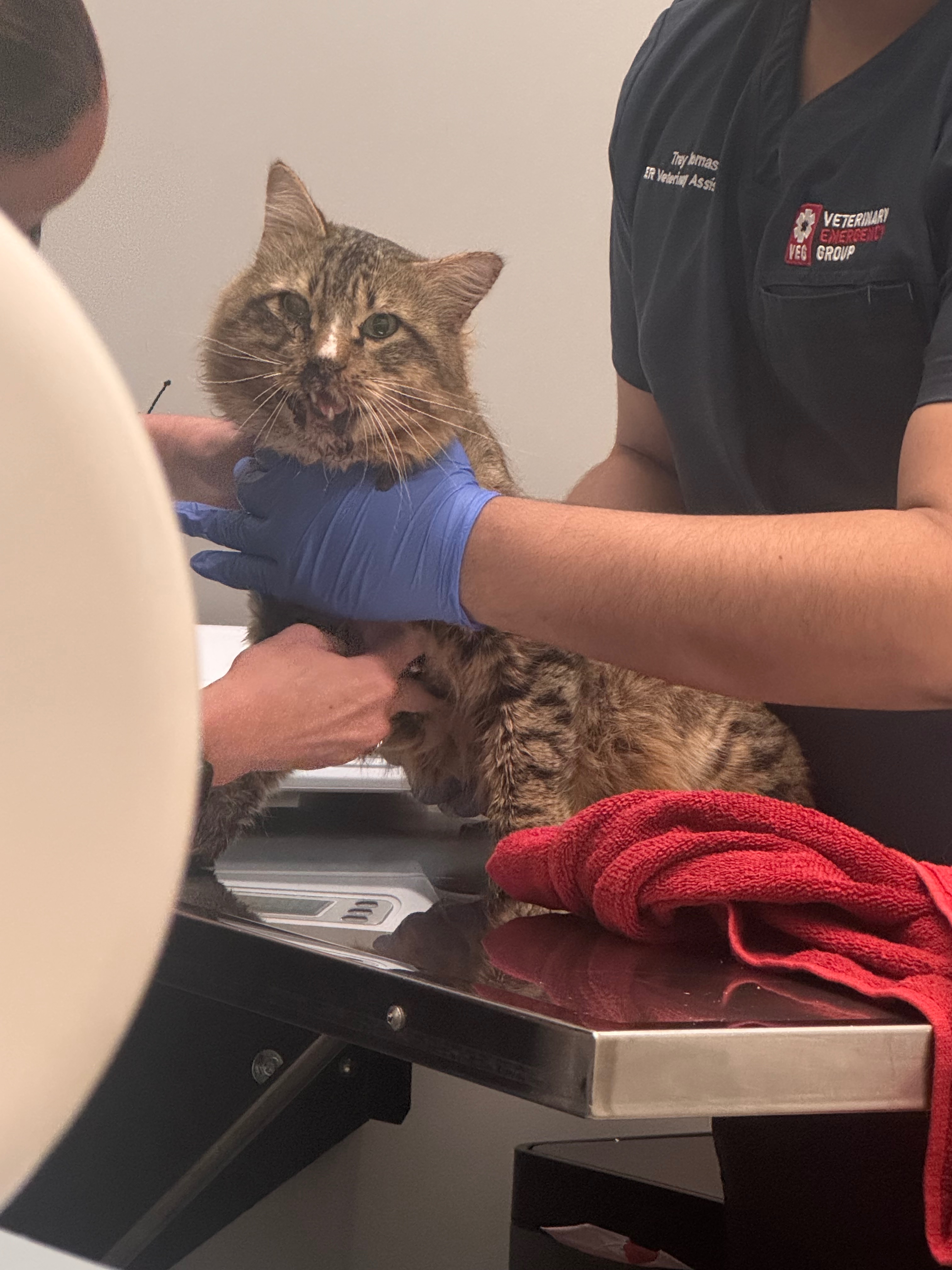 Dario Survived Surgery Now He Needs Help to Heal” campaign photo, 2 of 5
