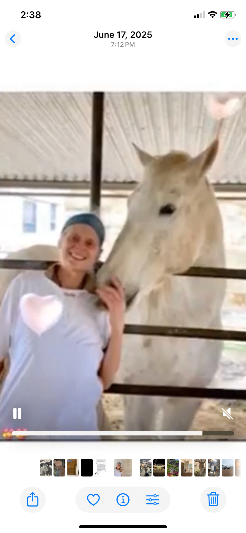 Donate to protect Two Horses During Long Covid Recovery campaign photo, 7 of 8
