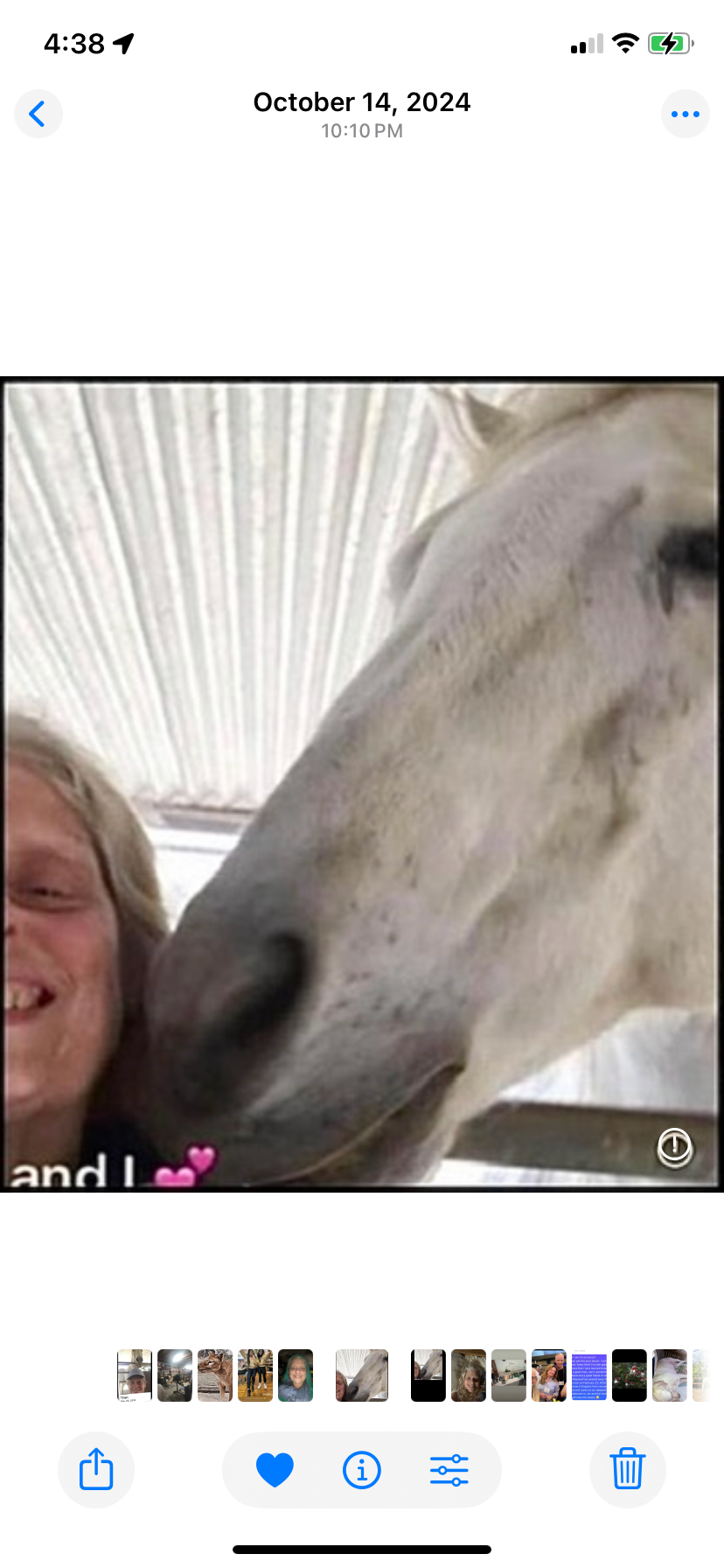 Donate to protect Two Horses During Long Covid Recovery campaign photo, 5 of 8