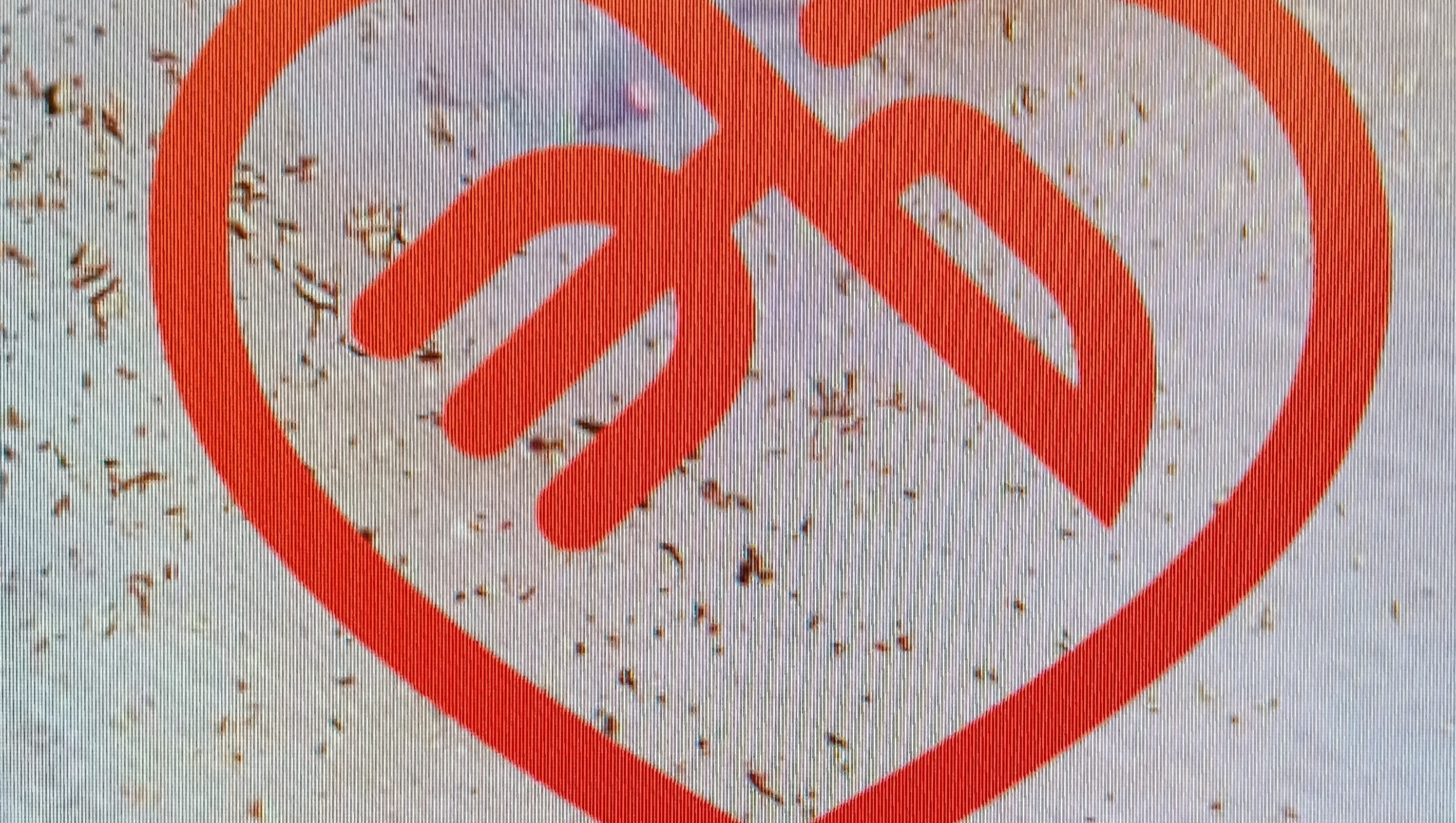 Fundraiser image