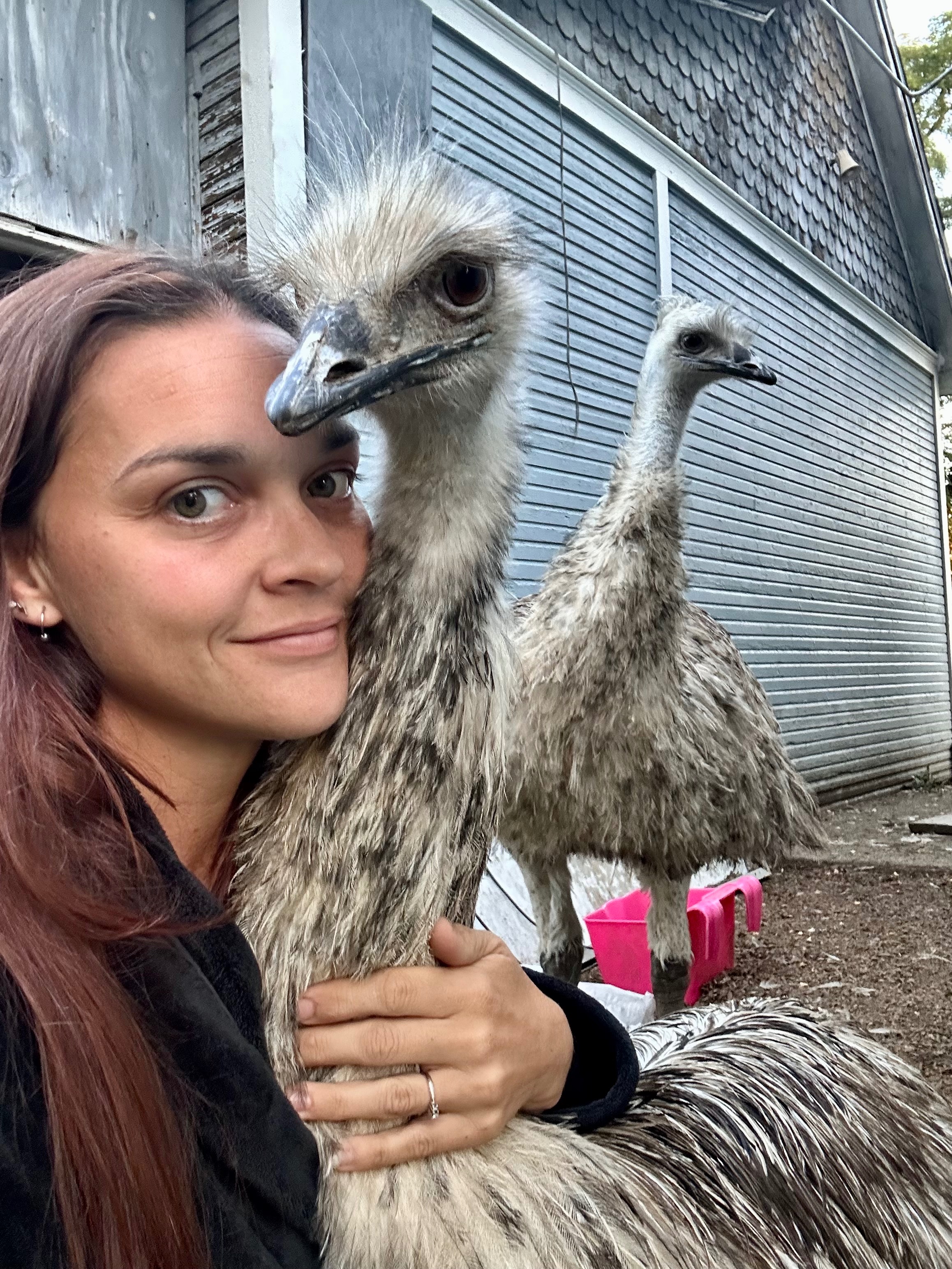 Help Move the McKeesport Emus from harms way campaign photo, 2 of 8
