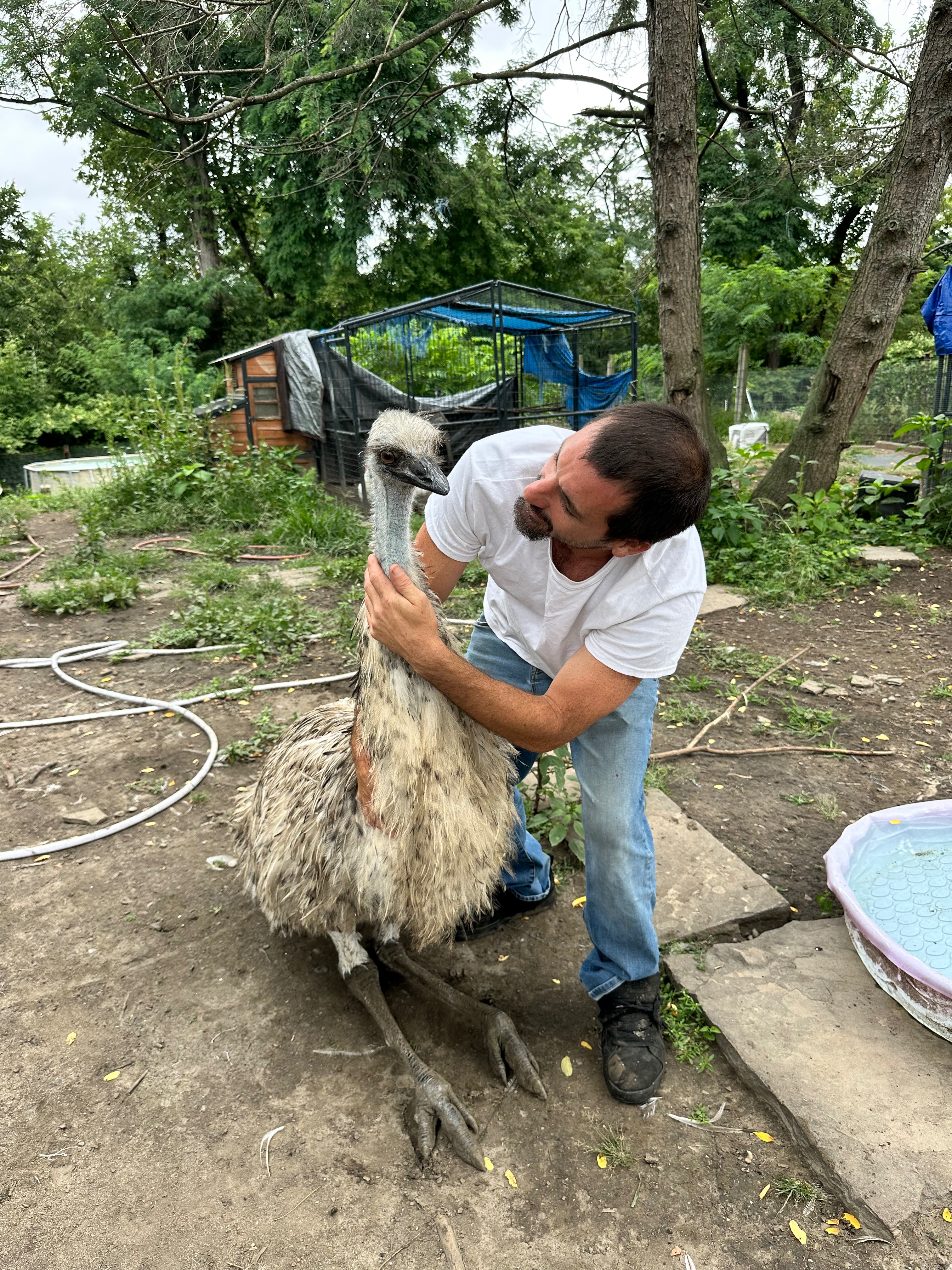 Help Move the McKeesport Emus from harms way campaign photo, 5 of 8