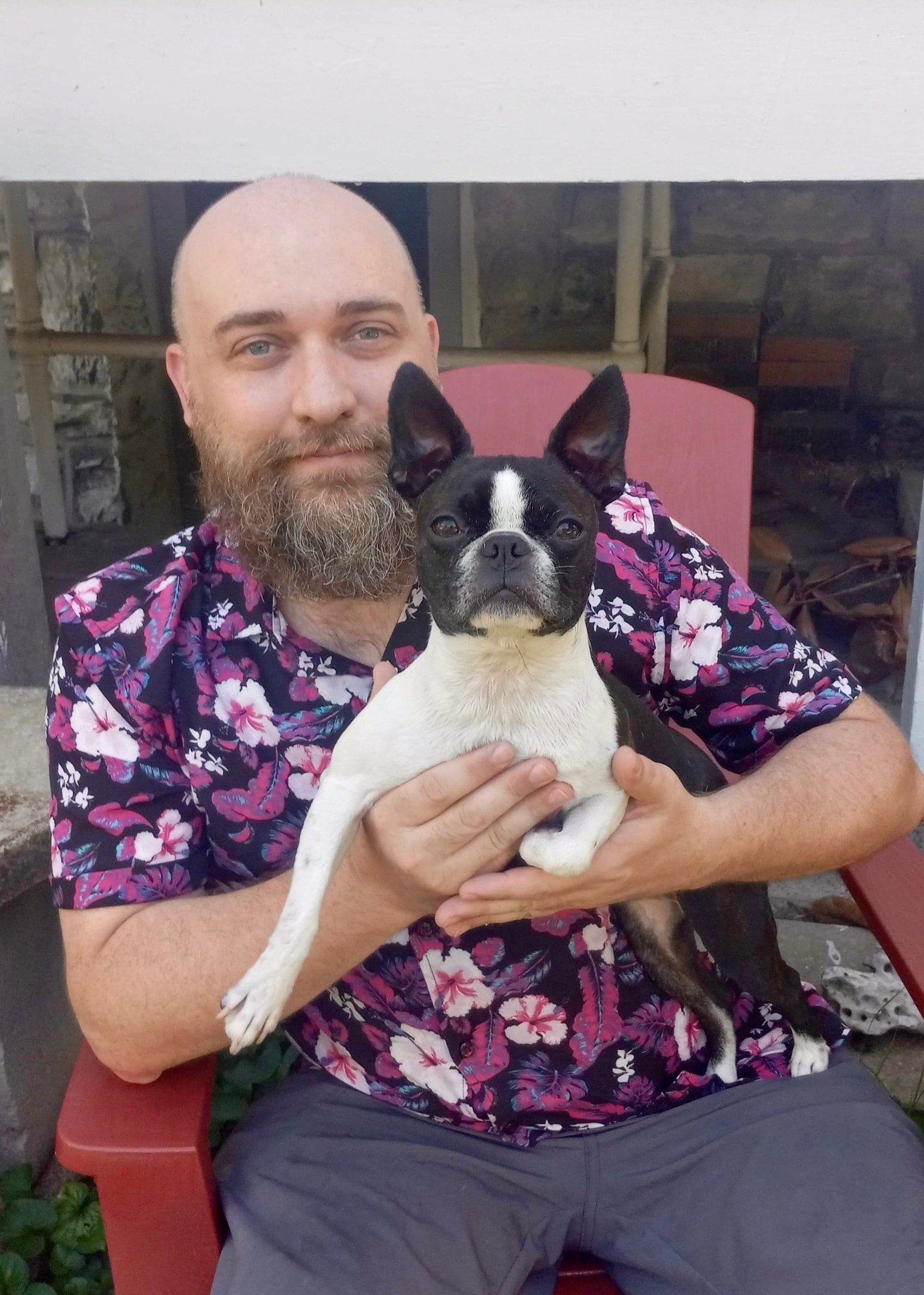 Urgent Help Appeal to Reunite with My Service Dog Esmé campaign photo, 5 of 8
