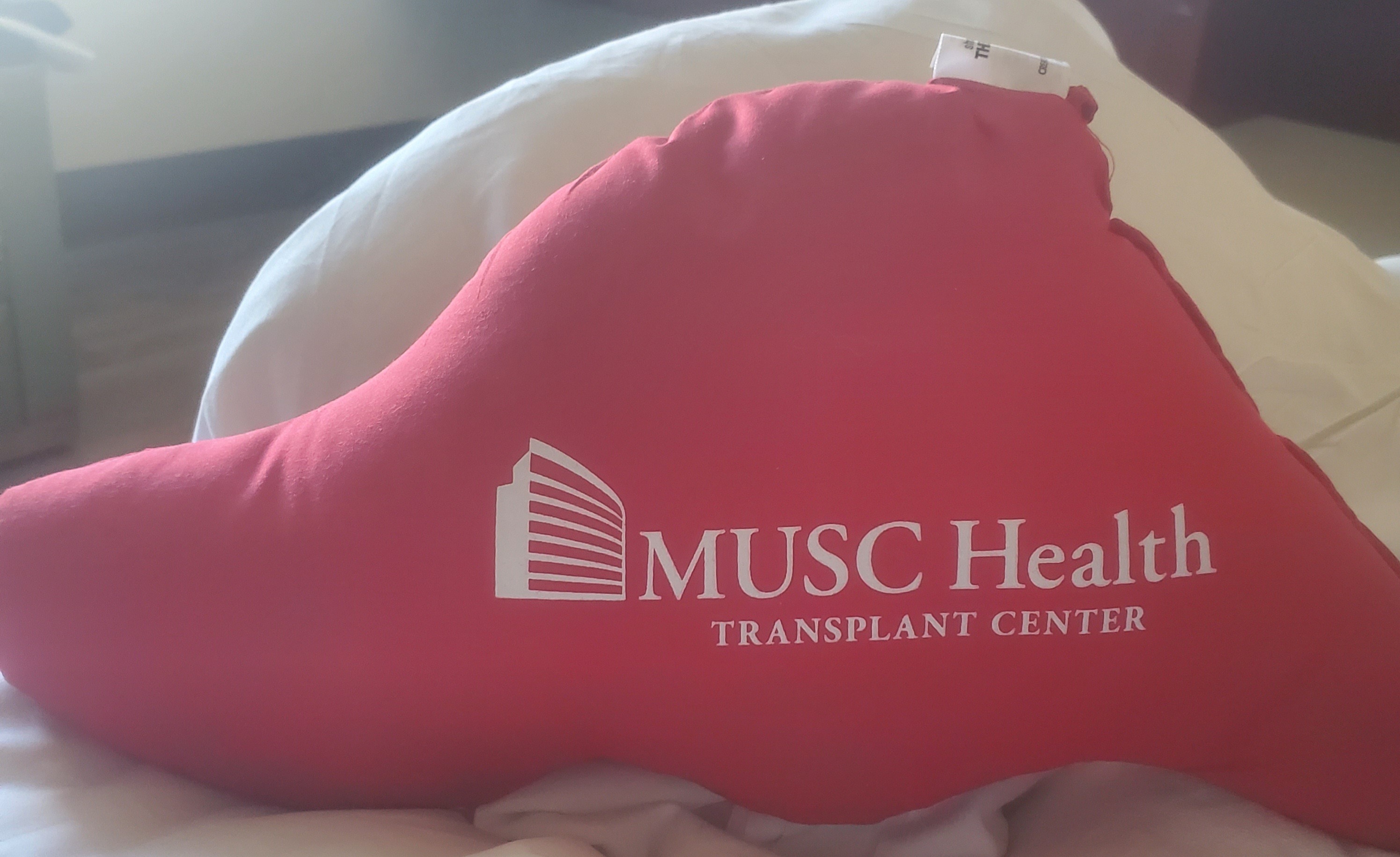 Please Support Sandy’s Liver Transplant Recovery campaign photo, 7 of 8