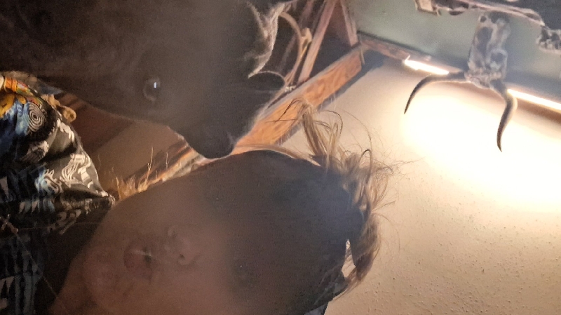 Support Tiffany and Her Puppy Sissy towards hope photo