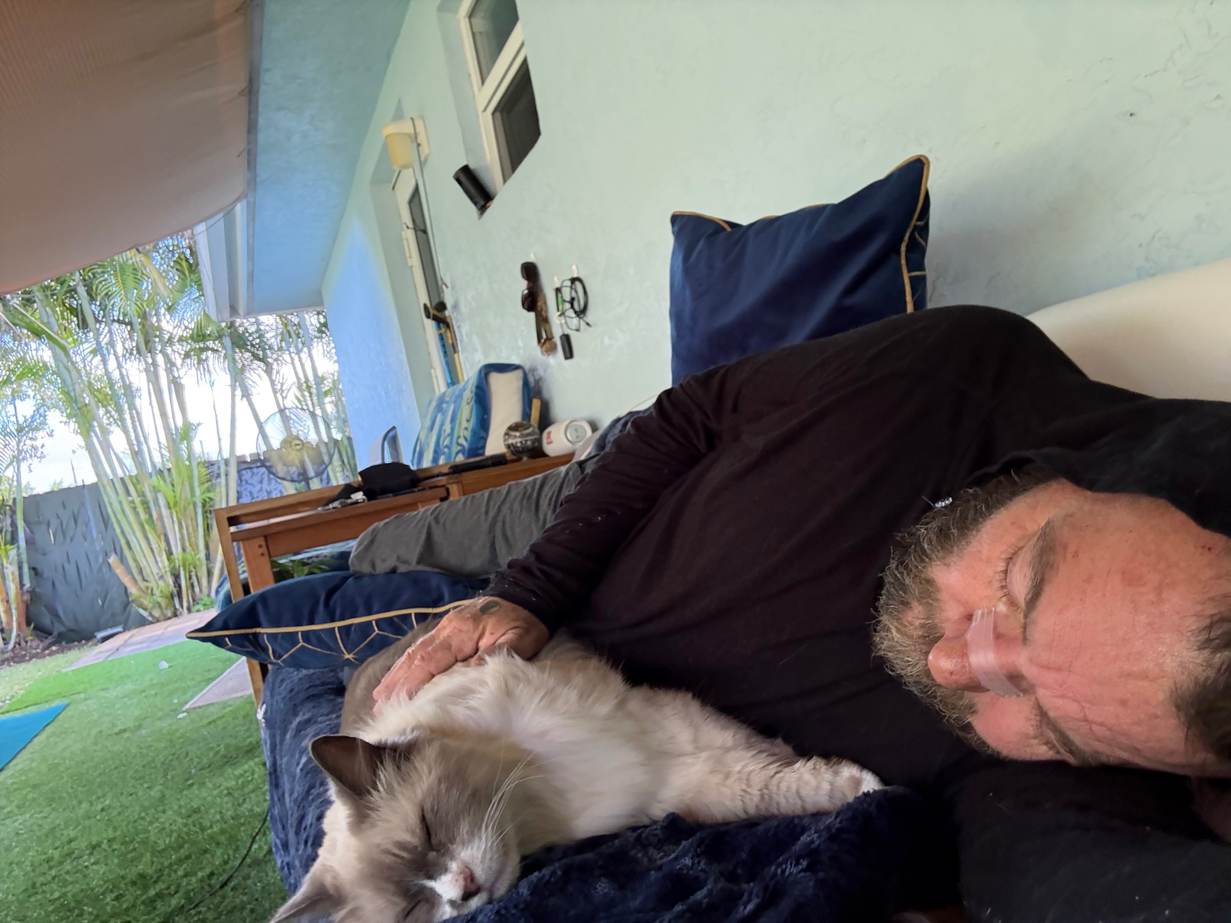 Help Derrie's Service Animal Regain Sight and Hearing campaign photo, 2 of 5