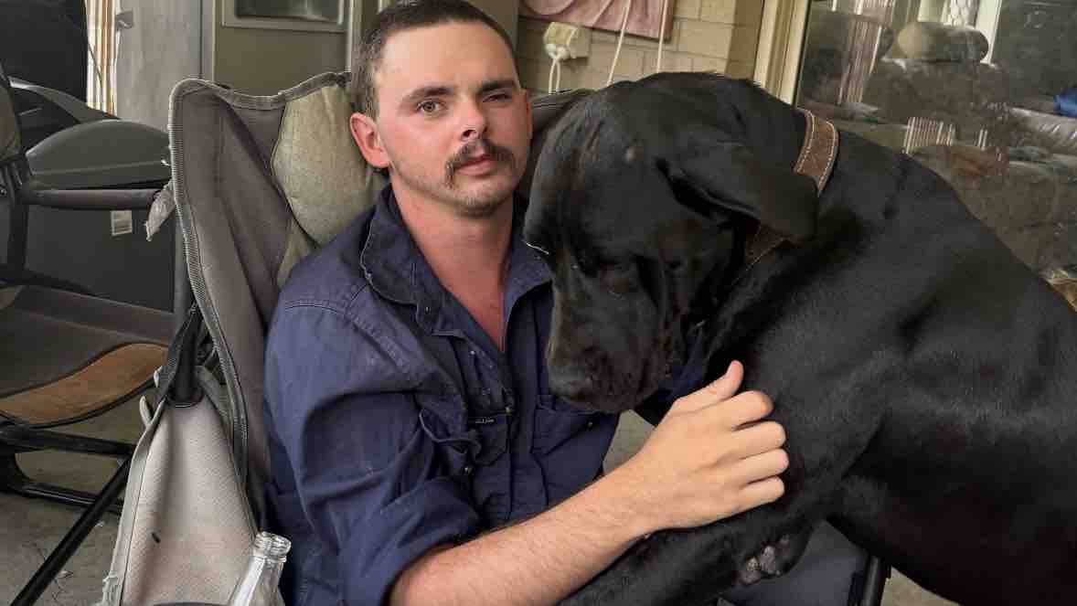 Please help Riley get Life Saving Brain Surgery photo