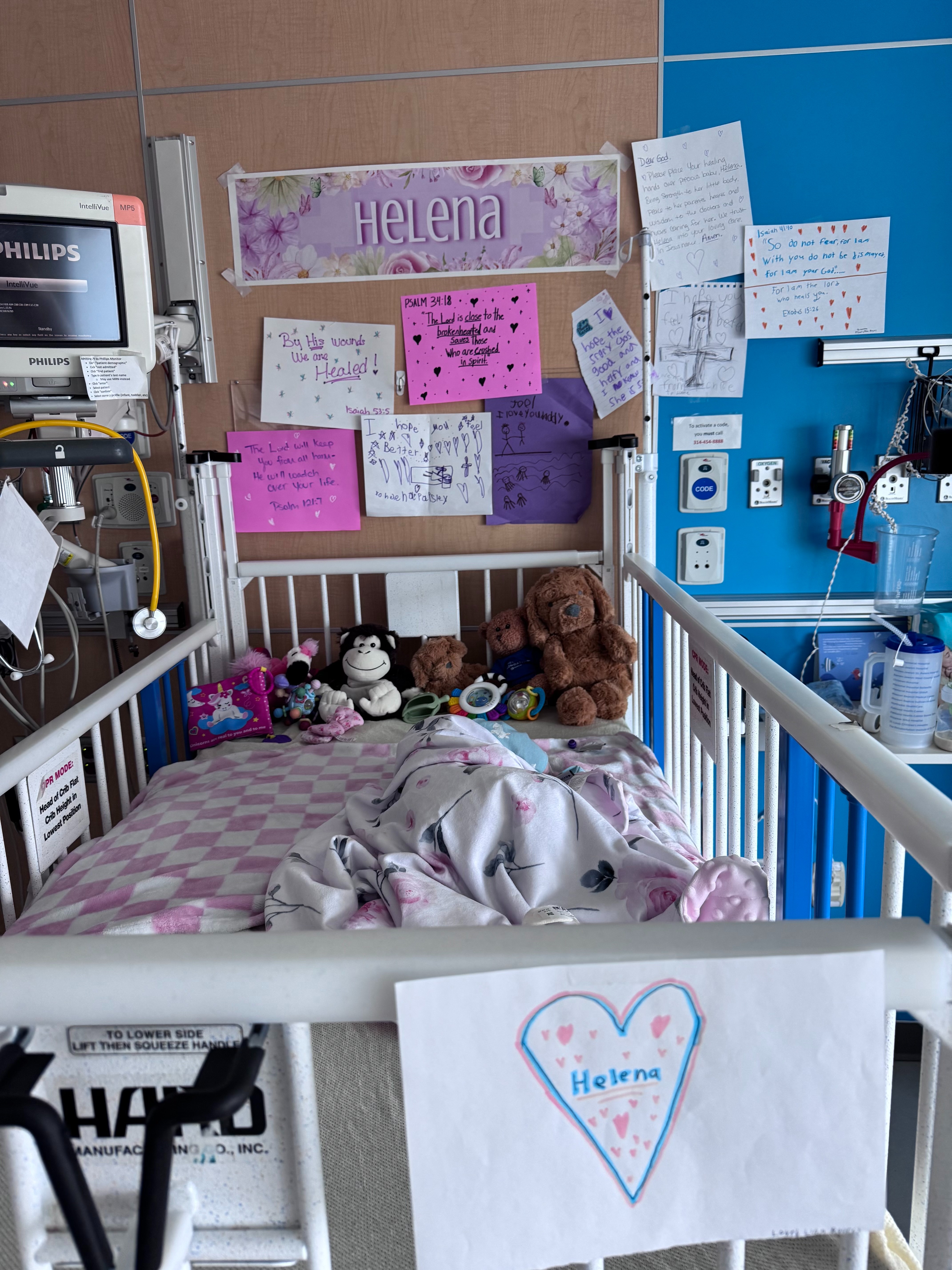Support Helena’s Recovery and Care campaign photo, 6 of 8