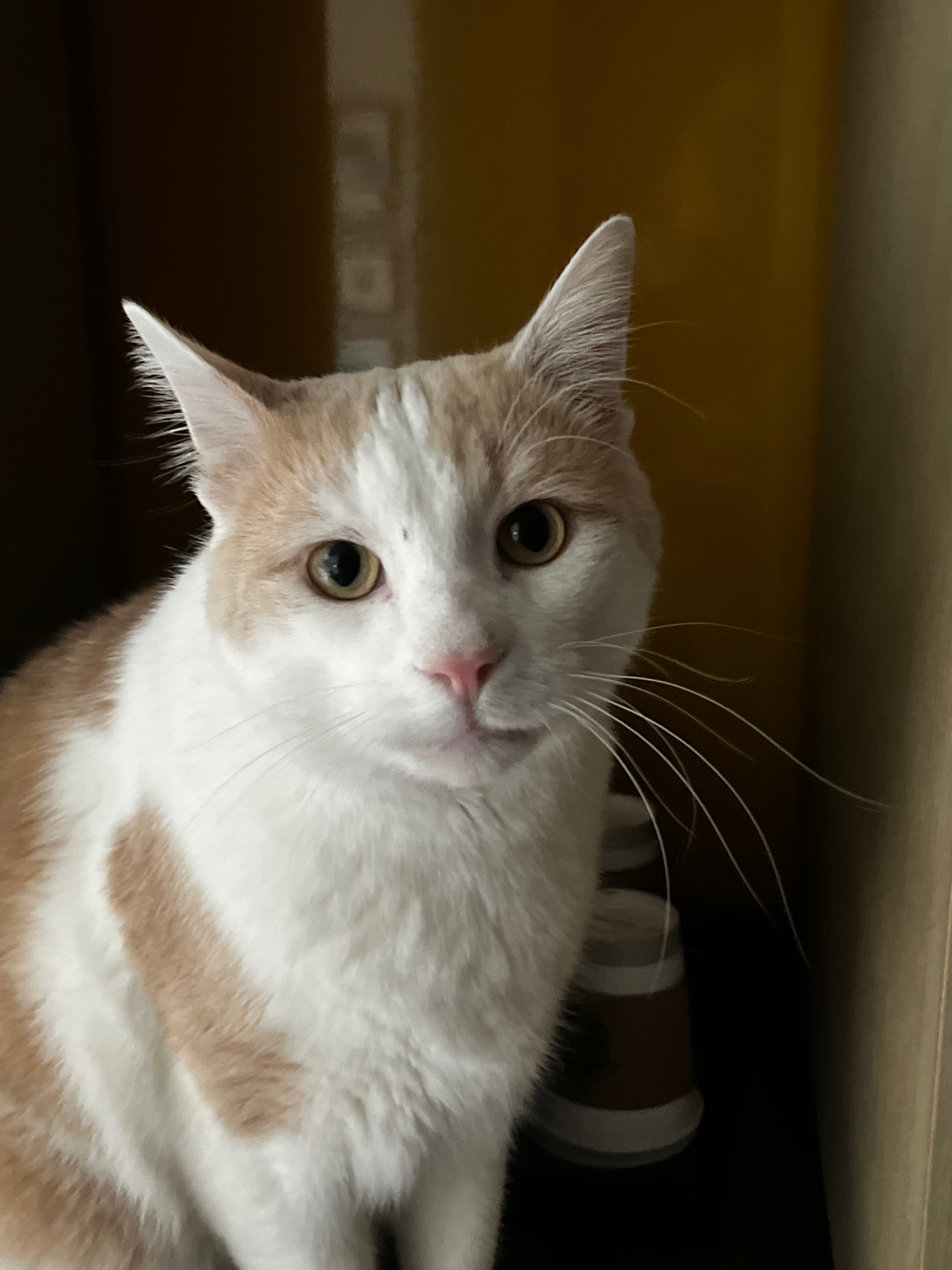 Help Us Care for Bob During Our Move campaign photo, 7 of 8