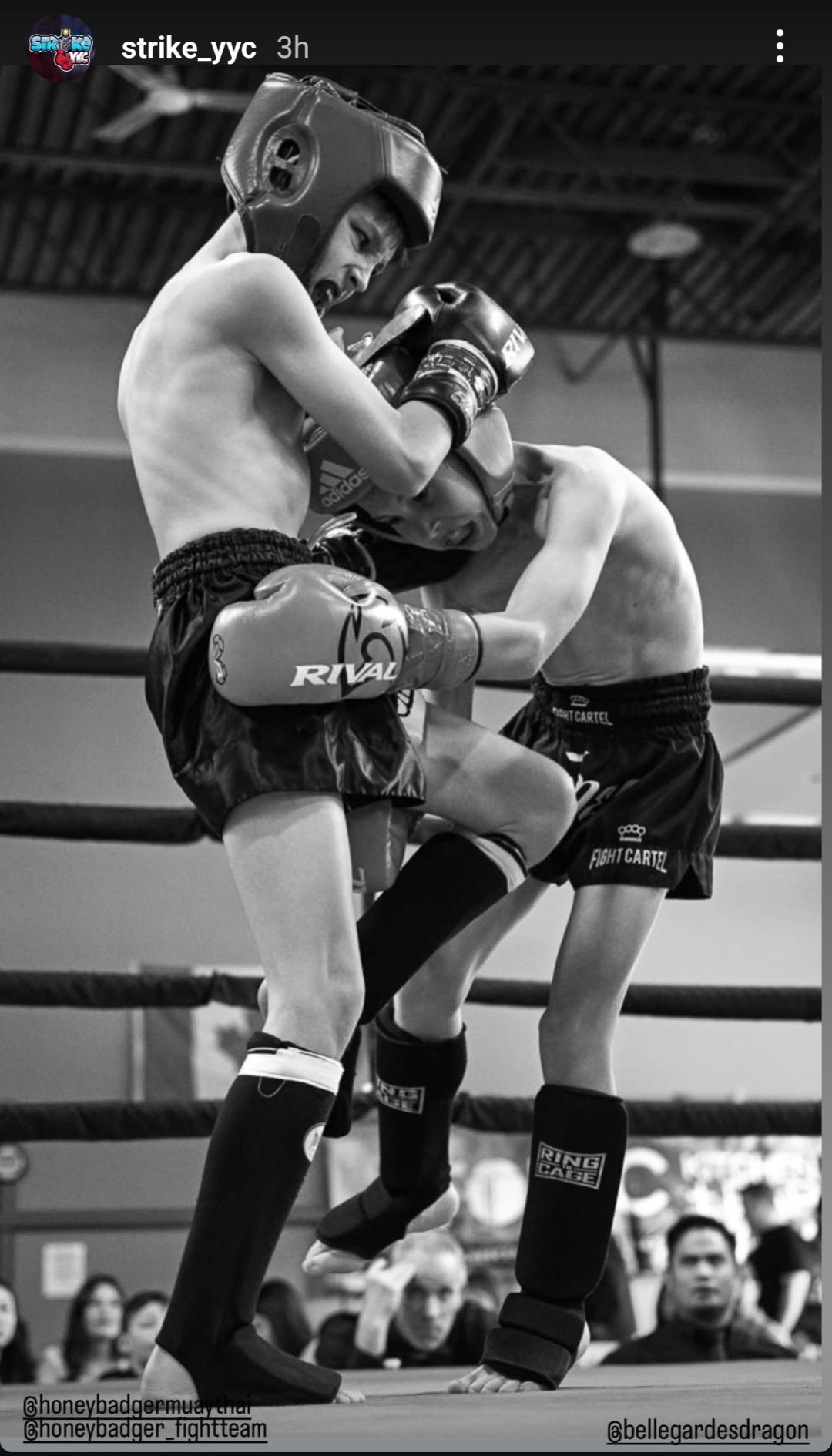 Get Carter to Thailand for WBC '26 Amazing MuayThai Festival campaign photo, 2 of 6