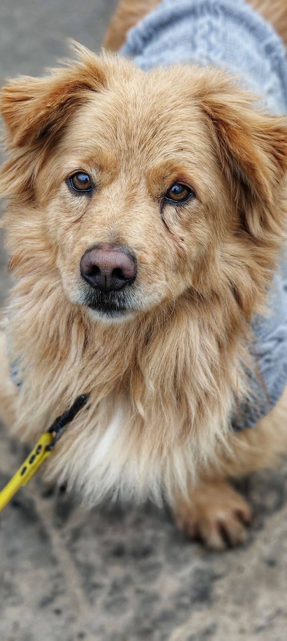 From Shelter to Home: Help Stasiu Start a New Life campaign photo, 2 of 5