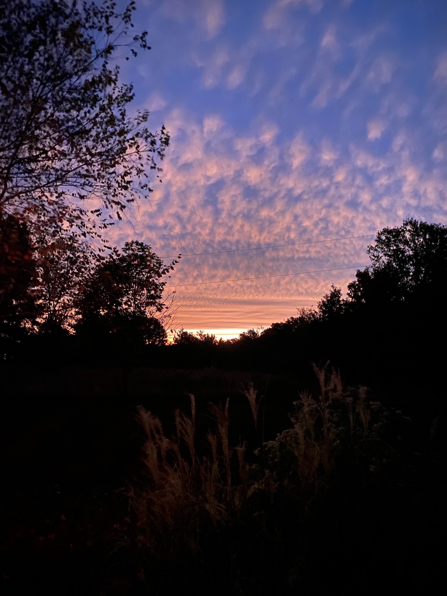 Please Help Us in Our Legal Efforts To Stop the Data Center campaign photo, 5 of 10