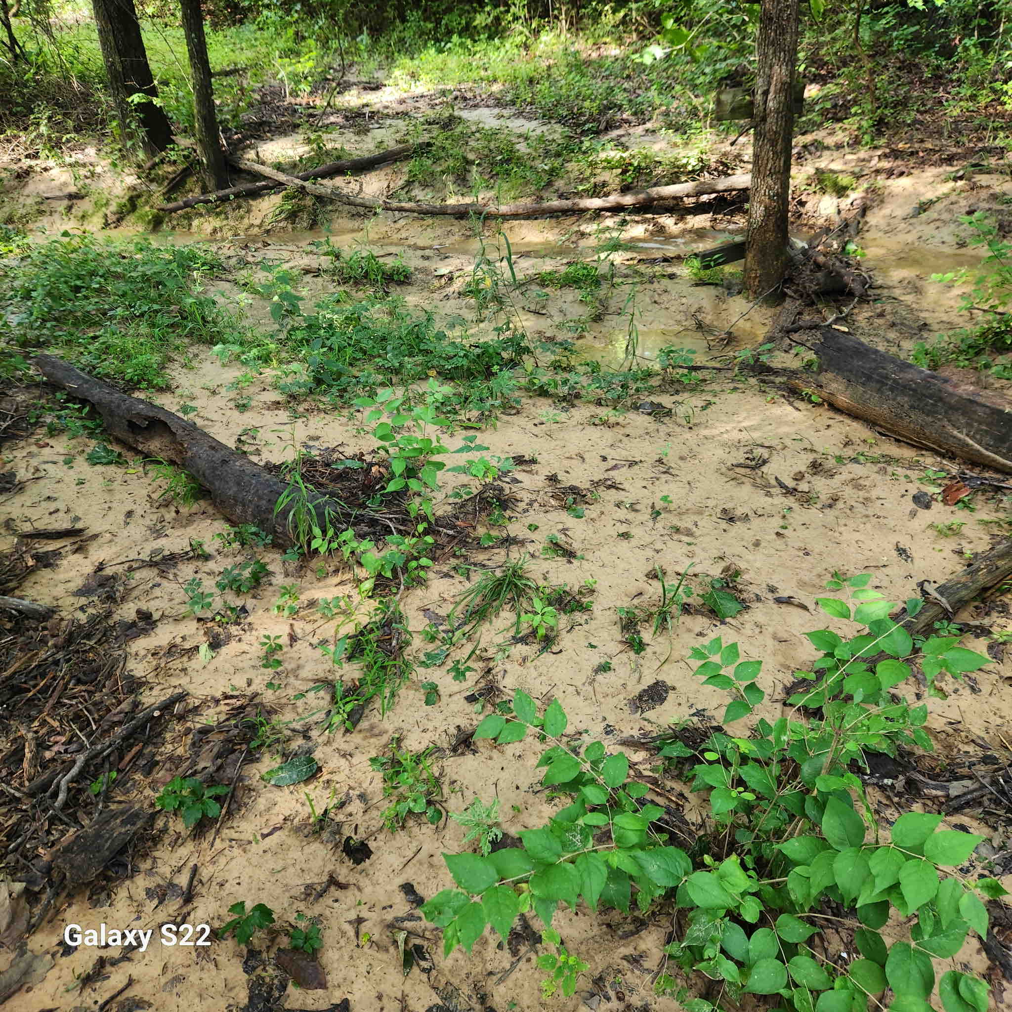 Please Help Us in Our Legal Efforts To Stop the Data Center campaign photo, 7 of 10