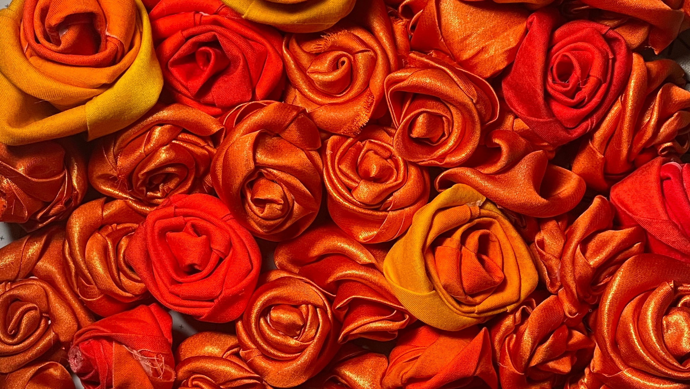 Fundraiser image