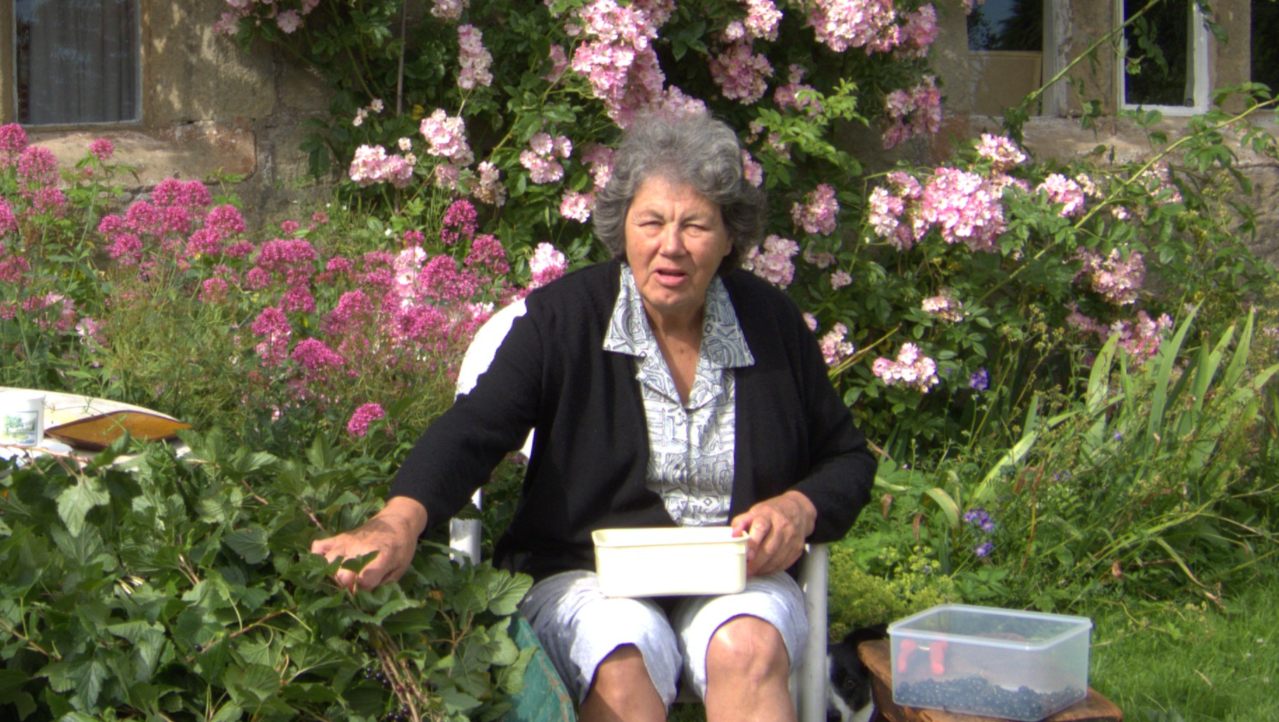 Protecting Memory - Powering a Cure