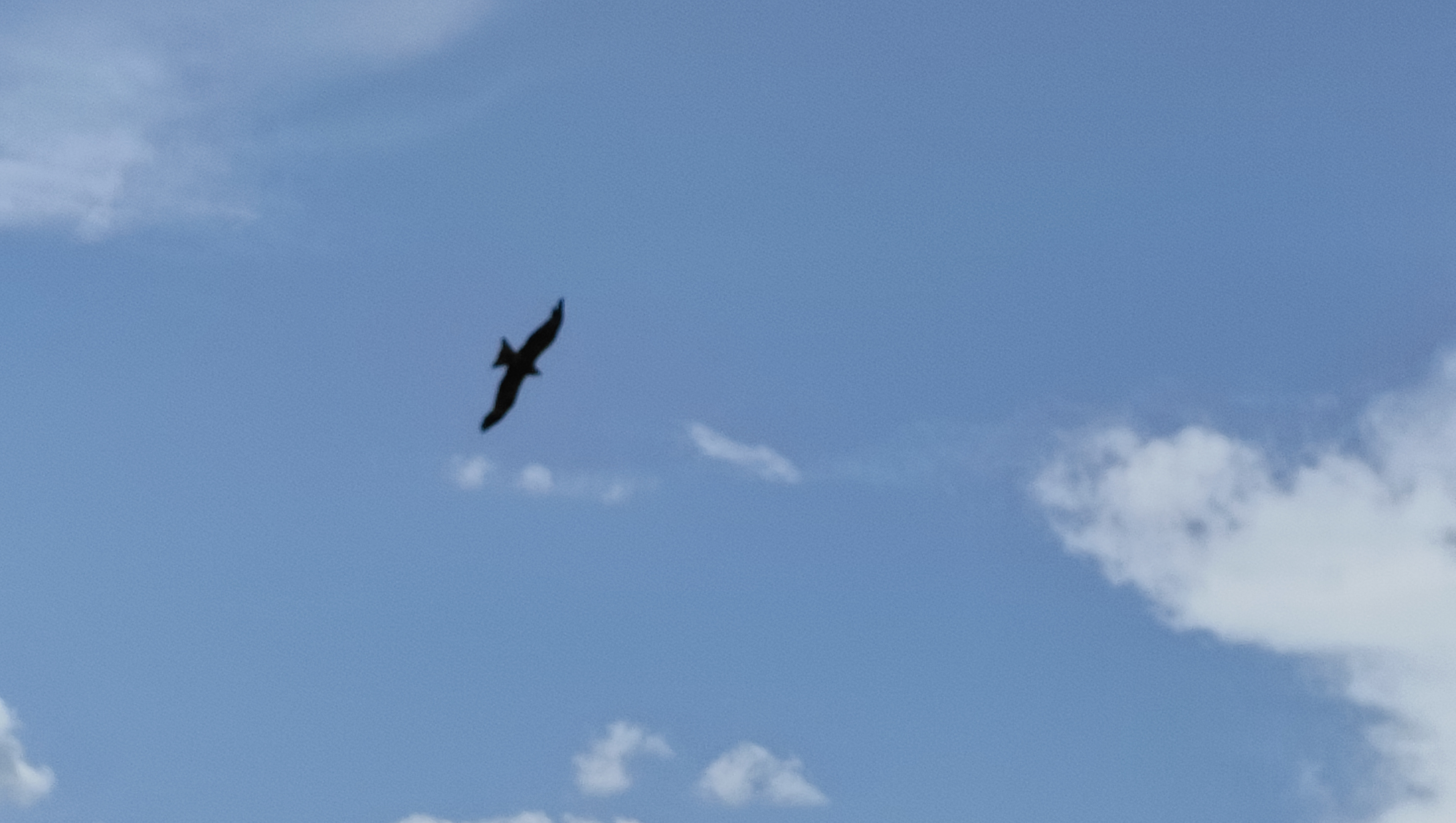 Hilfe für einen Neubeginn photo