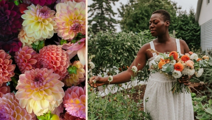 Help Akos' Farm Recover From an Accident