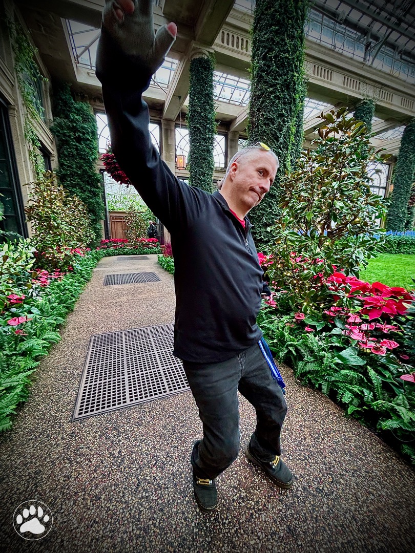 Help Maintain Independence With Mobility Support campaign photo, 5 of 7