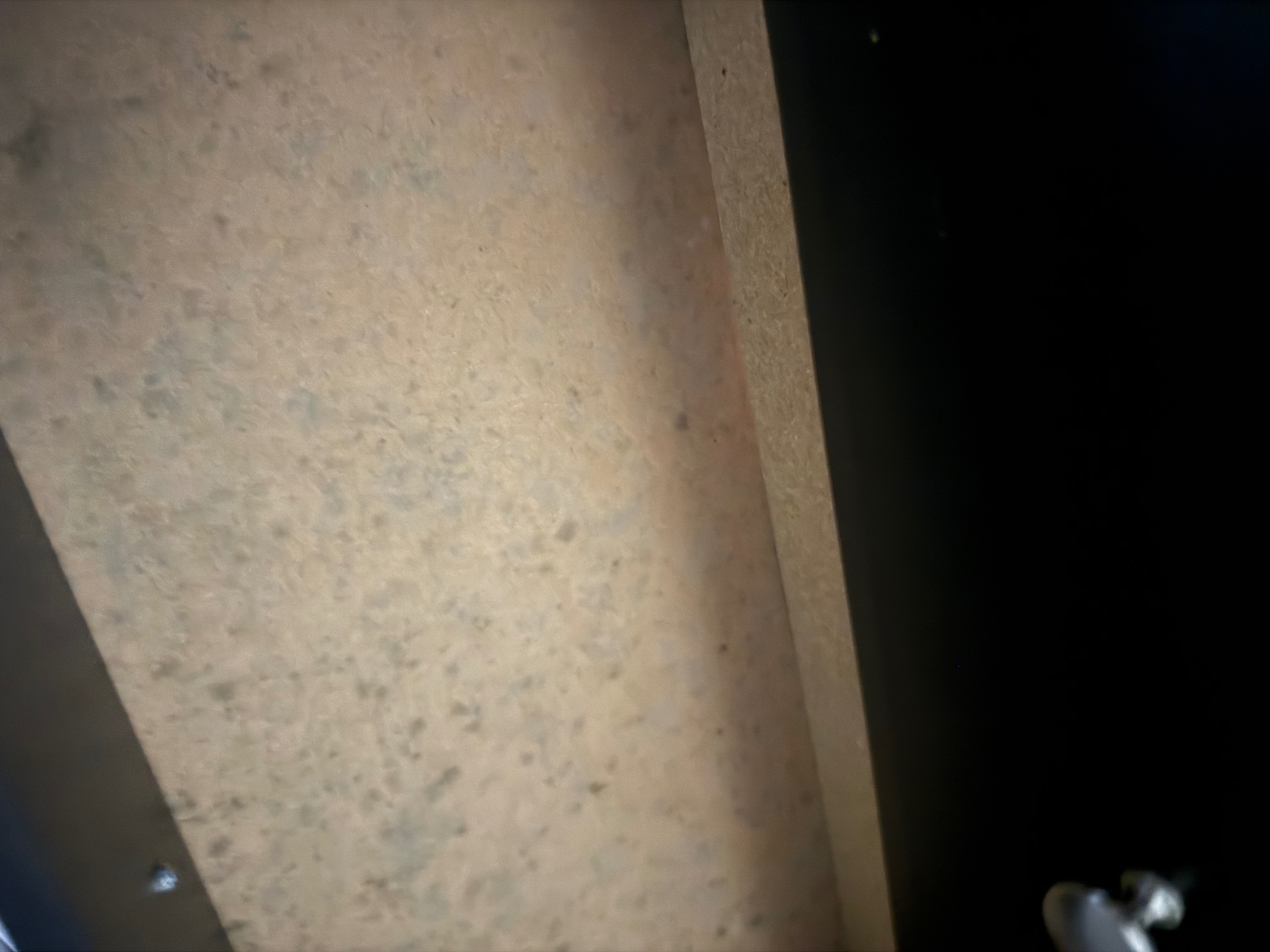 Help Our Family Relocate and Rebuild After Mold Contaminatio campaign photo, 5 of 8