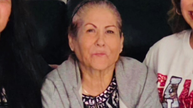 Support Diana through Cancer Care, Surgery, and Recovery photo