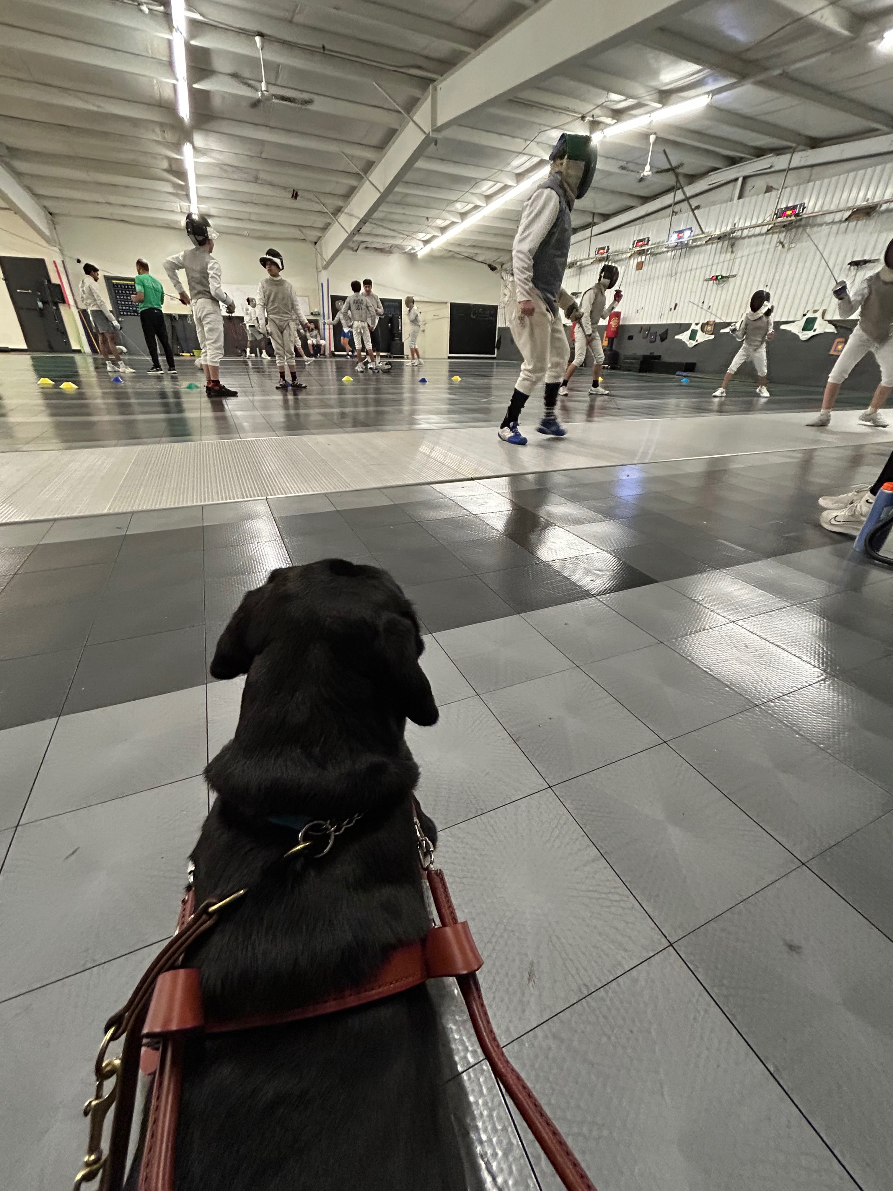 Support Jason's Journey to Blind Fencing in France campaign photo, 4 of 5