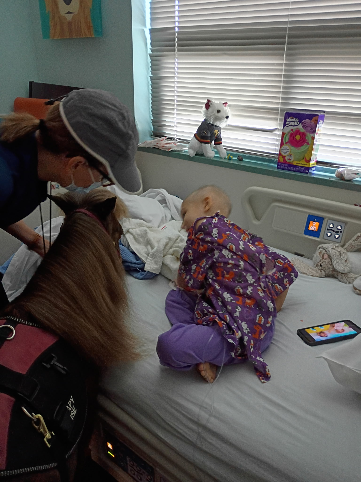 Support Our Little Girl's Battle with Leukemia campaign photo, 5 of 7