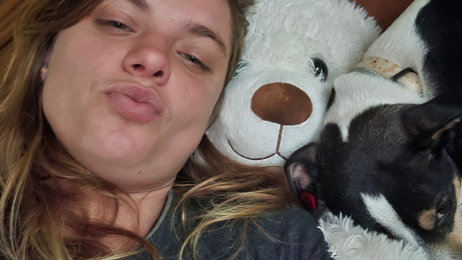 Support Us in Finding Immediate Housing photo