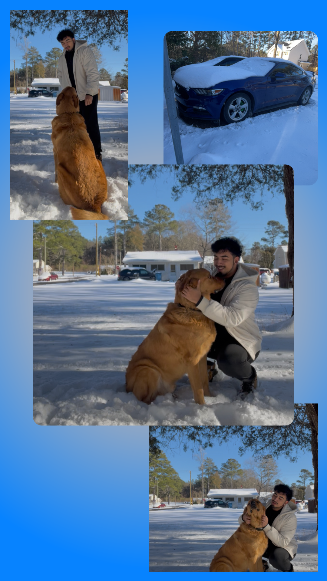 Fundraiser by Joshua Martinez Carlos : Help Rocky Recover After Train ...