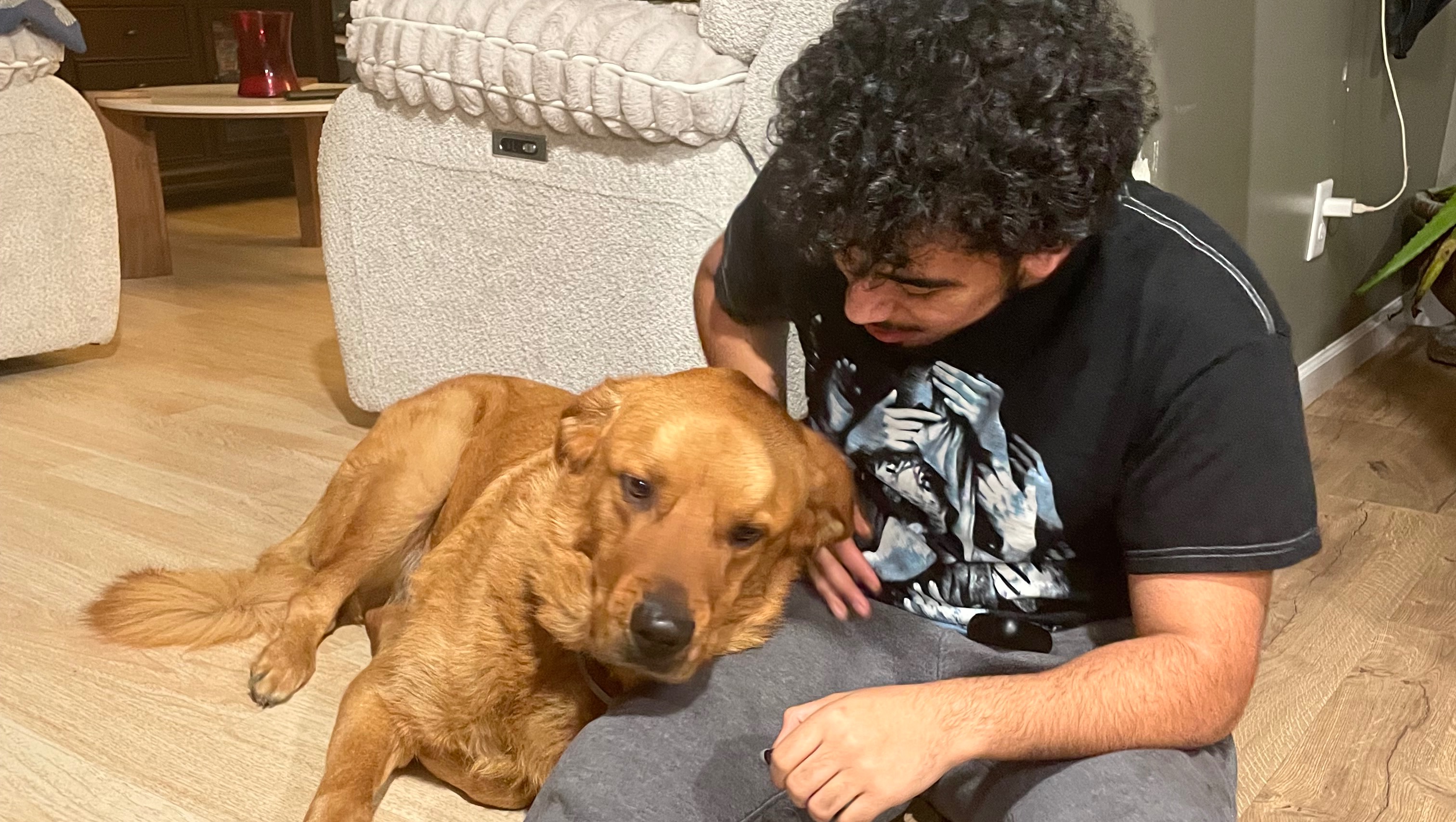 Fundraiser by Joshua Martinez Carlos : Help Rocky Recover After Train ...
