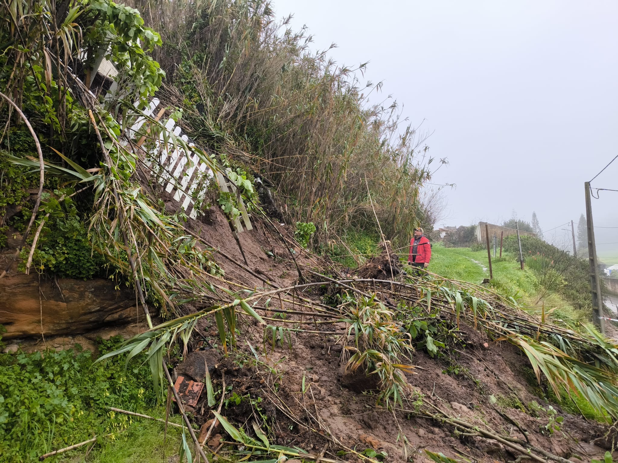 Foto della campagna Help Us Protect Our Home After Cyclone Kristin, 5 di 6