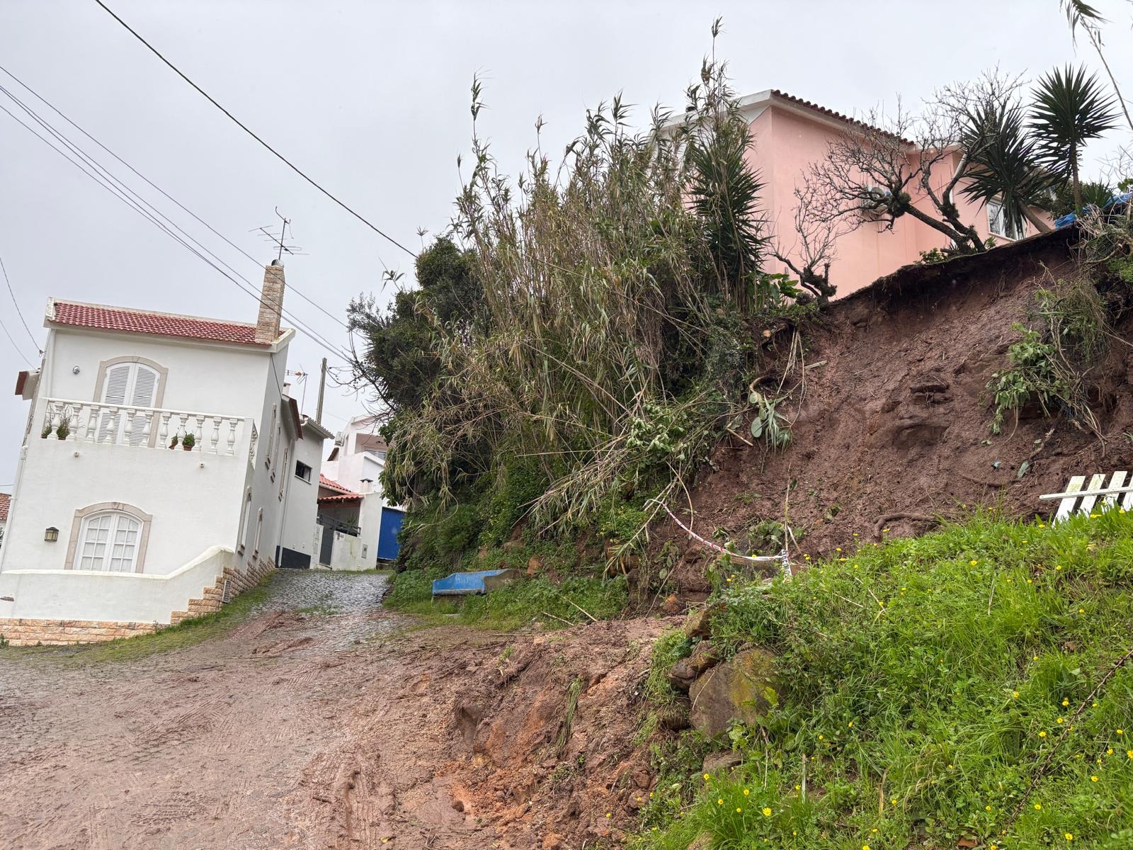 Foto della campagna Help Us Protect Our Home After Cyclone Kristin, 4 di 6