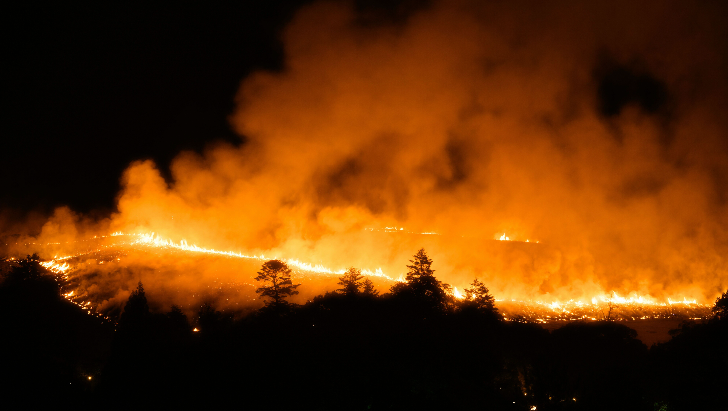 Seconds Matter with Watch Duty photo