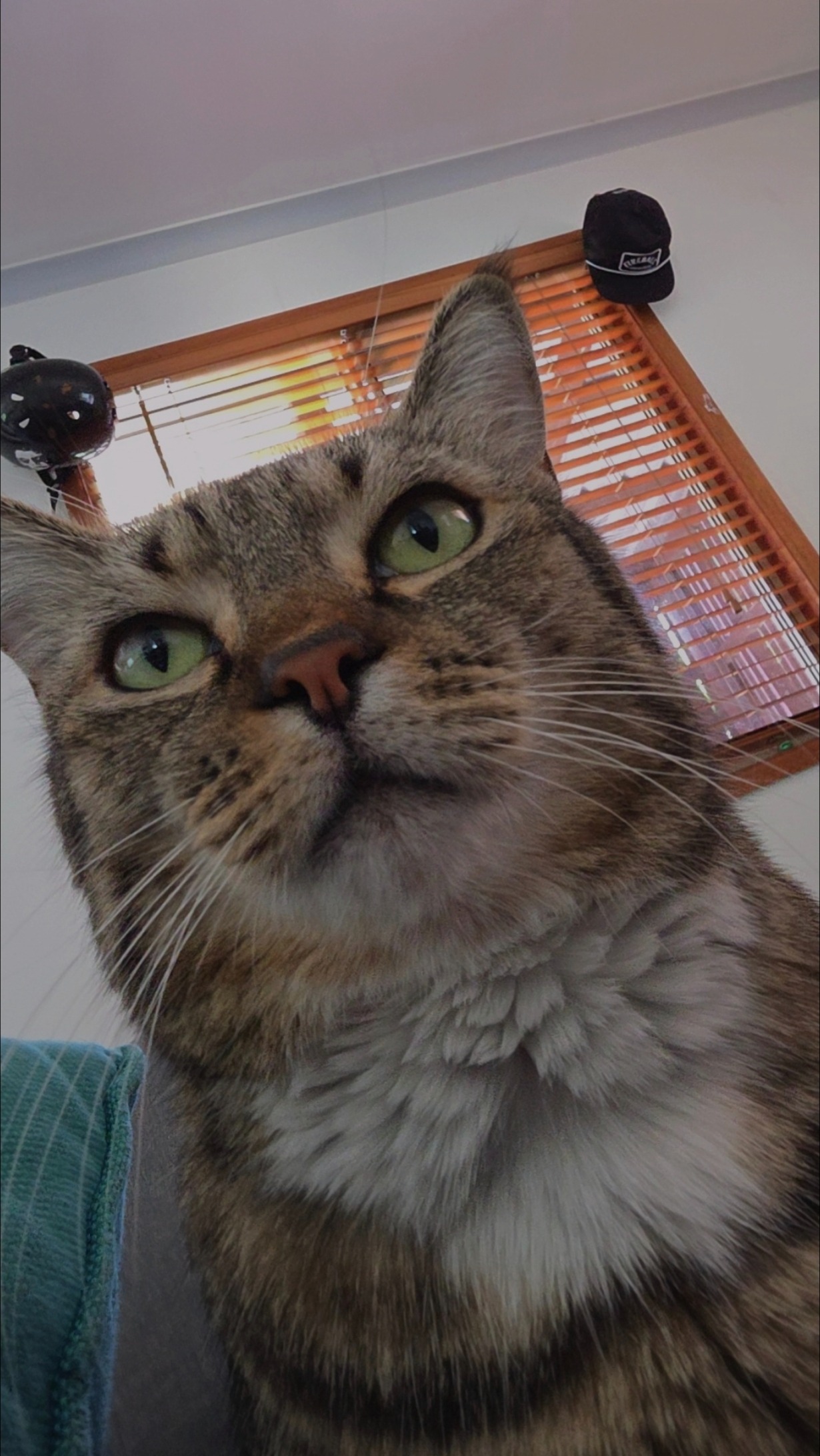 Pablo Needs Urgent Emergency Surgery! campaign photo, 6 of 8