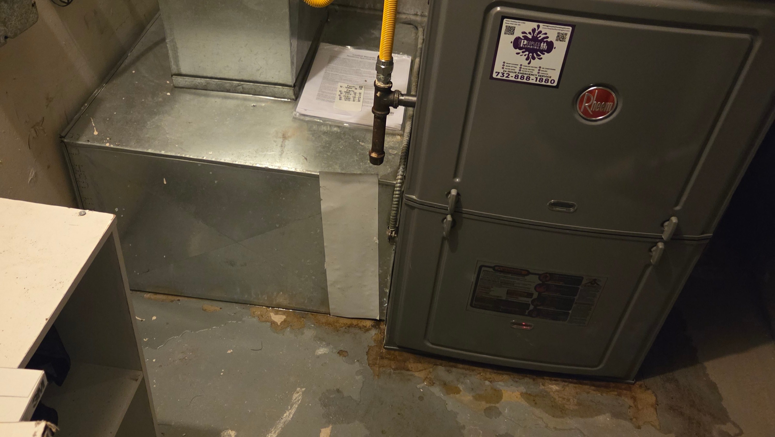 Support Mark and Roommate Through Winter Repairs