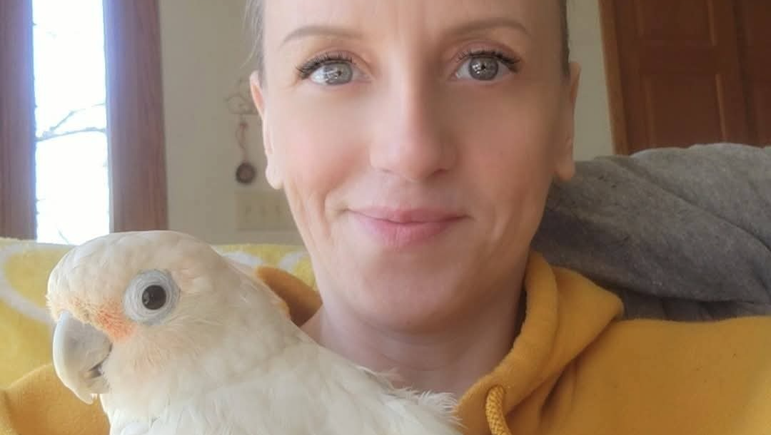 Whistleblower Fired: 27 Days to Save My Future photo