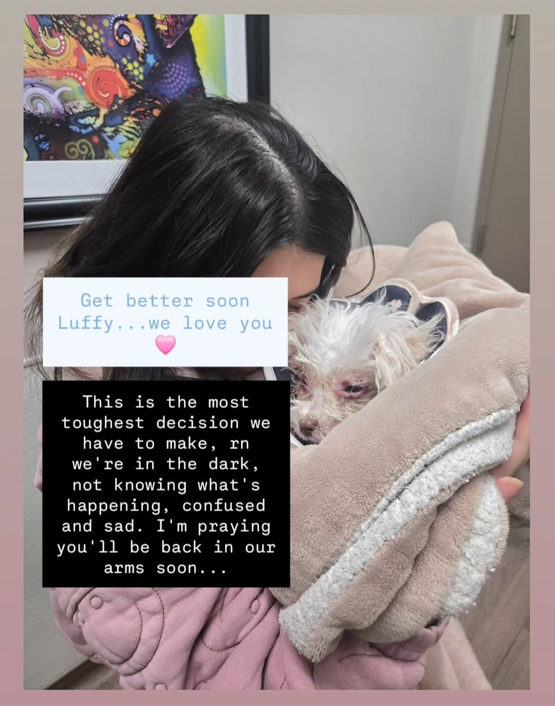 Help Support Our Puppy Luffy campaign photo, 6 of 8