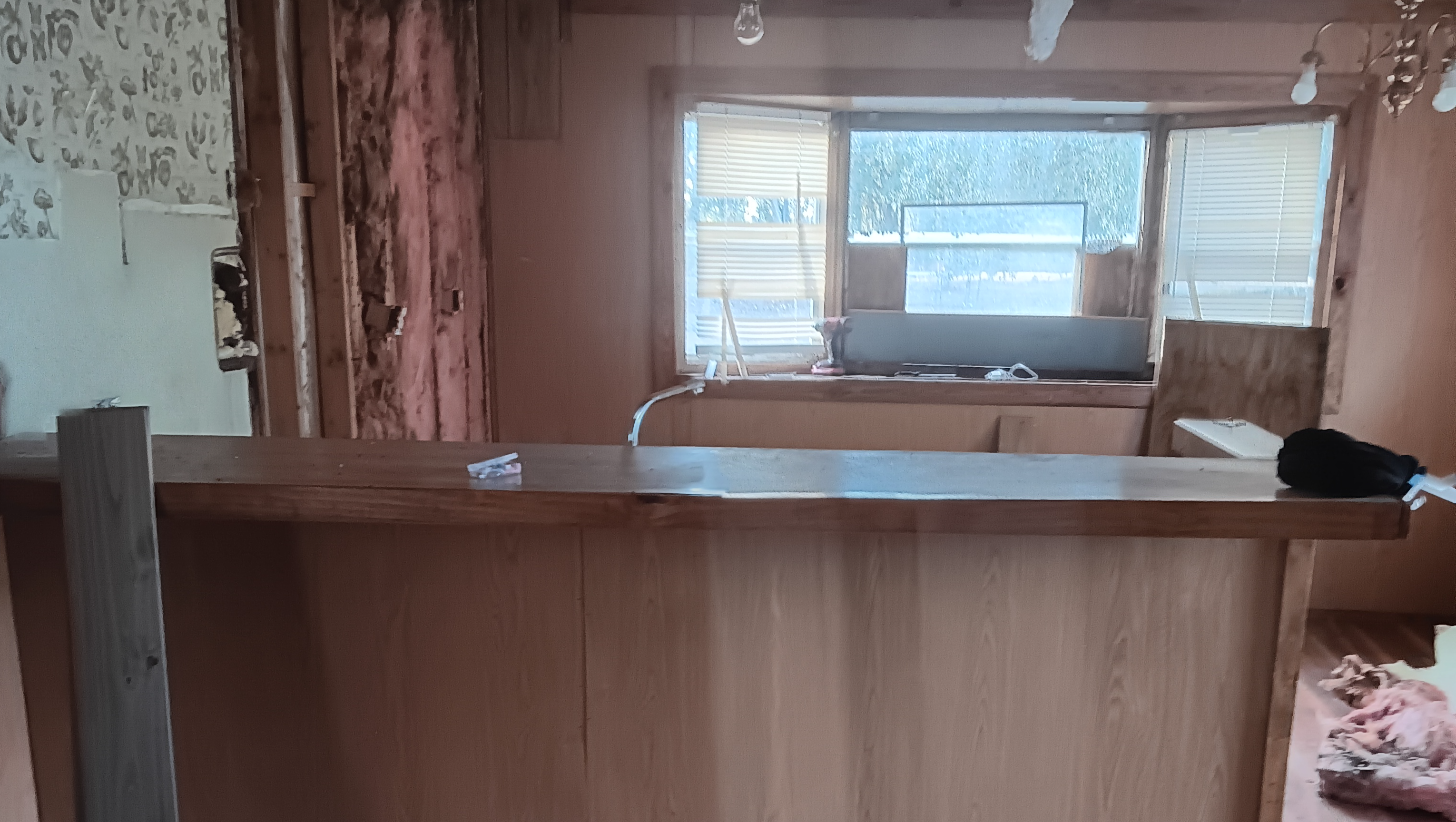 Support for Septic and Remodel for Family of 9 photo