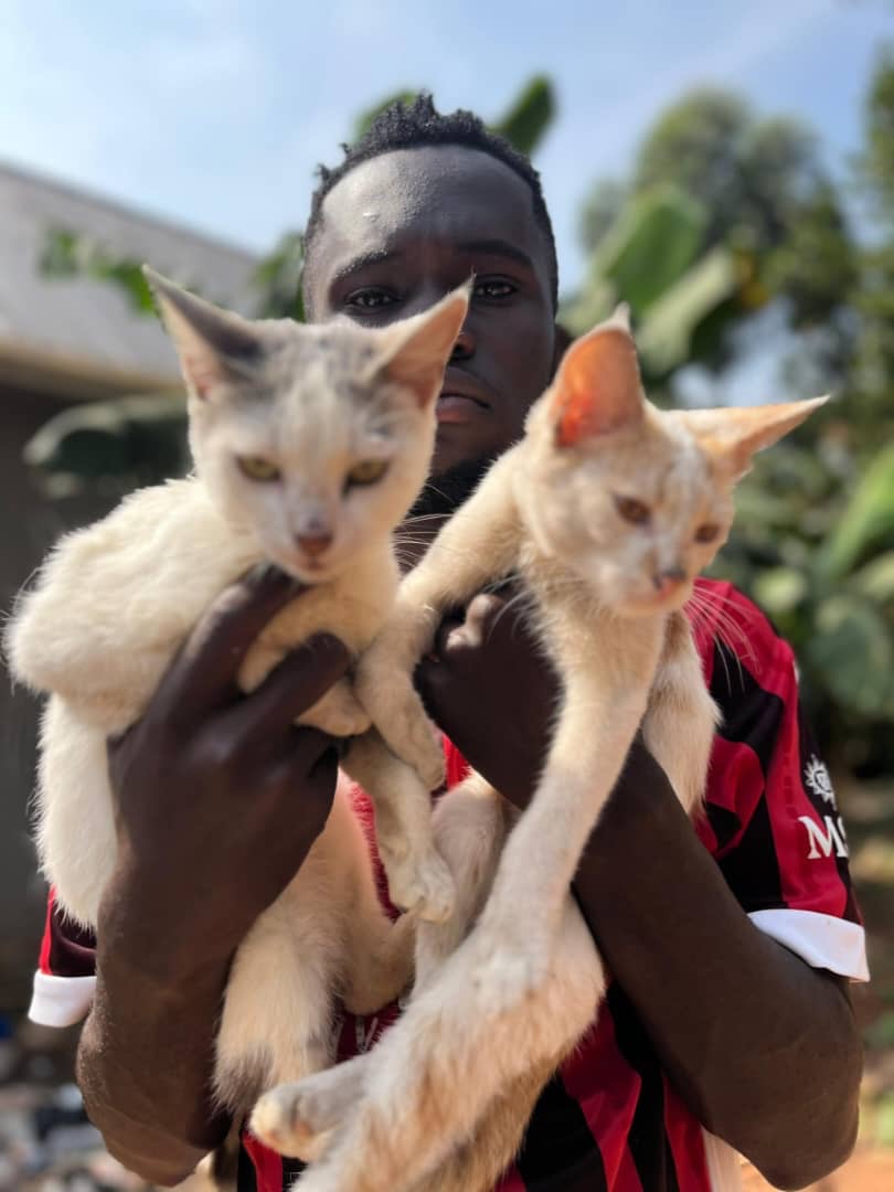 Emergency Food for Starving Animals in Uganda campaign photo, 7 of 8