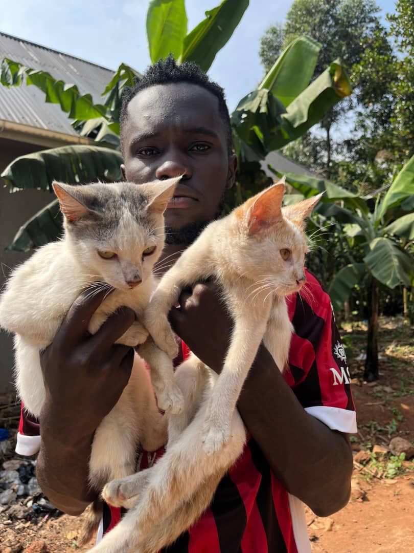 Emergency Food for Starving Animals in Uganda campaign photo, 4 of 8