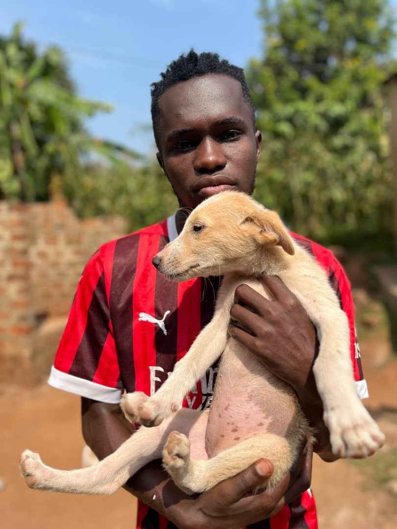 Emergency Food for Starving Animals in Uganda campaign photo, 2 of 8