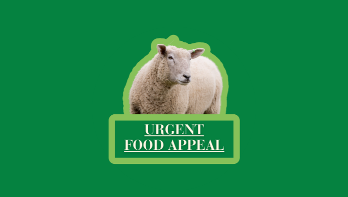 Fundraiser image