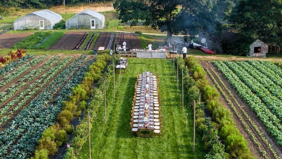 Support Wild Bloom's Sustainable Vision photo