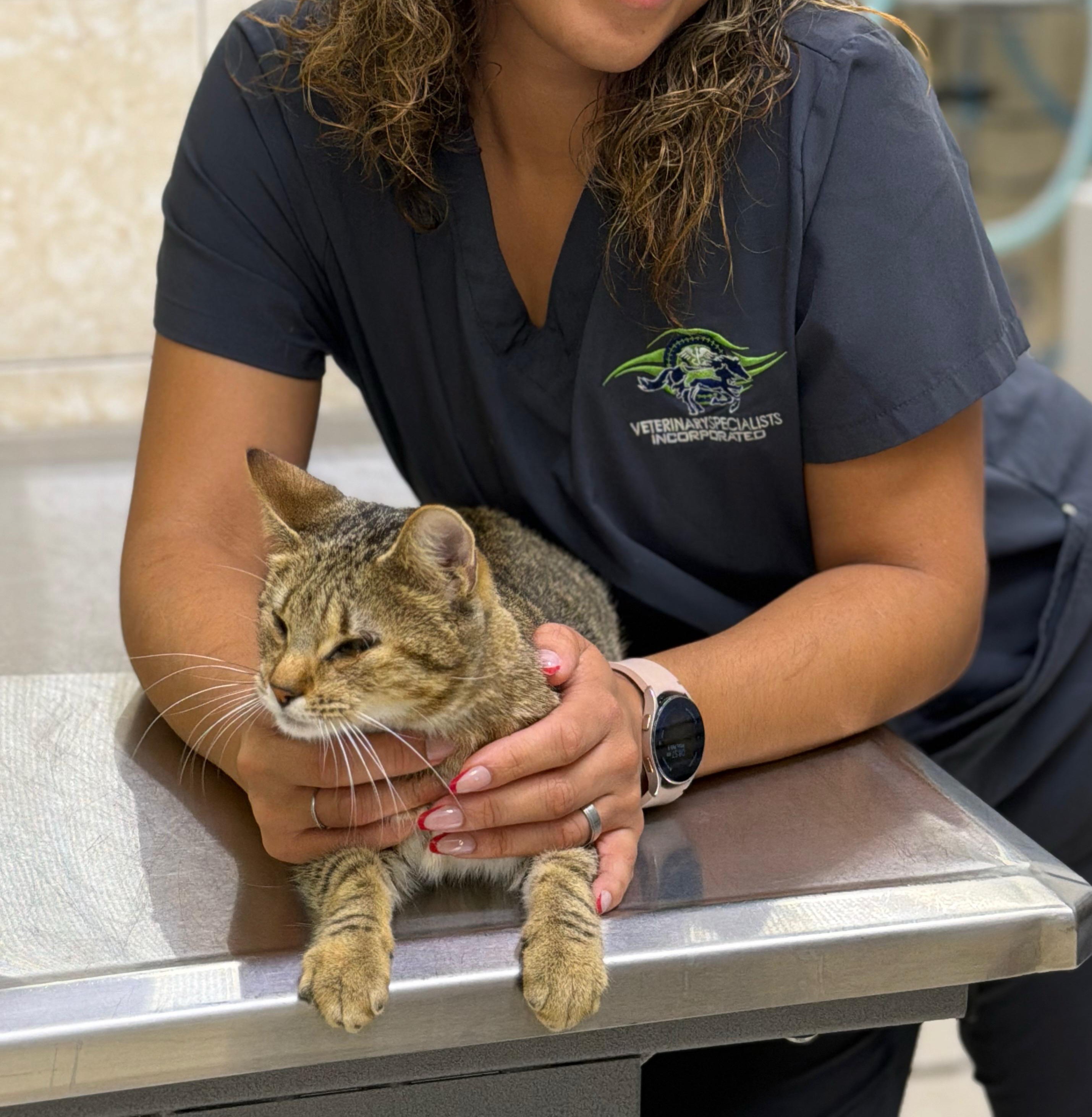 Support Marilu’s Journey to a Pain-Free Life campaign photo, 4 of 7