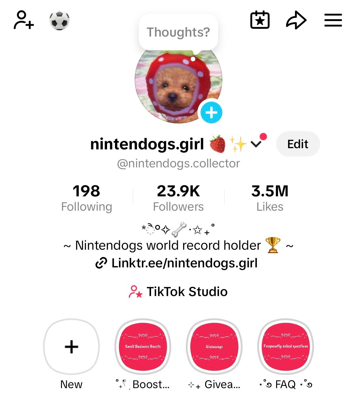 Nintendogs digital shelter campaign photo, 2 of 4