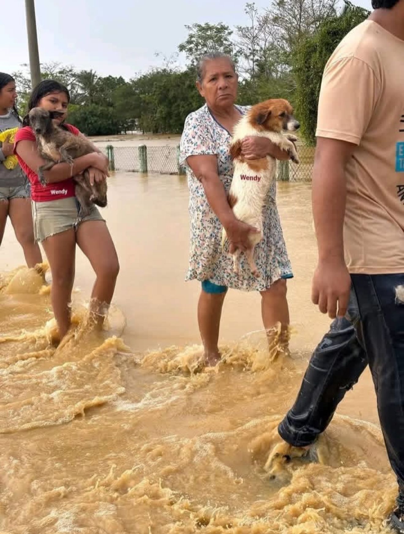 Help Flood Victims Cordoba - Ayuda a las Víctimas de Cordoba campaign photo, 7 of 8