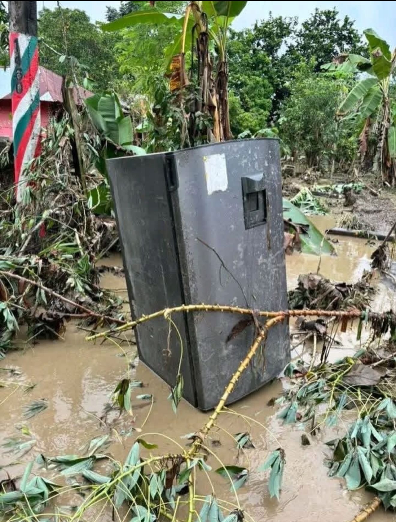 Help Flood Victims Cordoba - Ayuda a las Víctimas de Cordoba campaign photo, 5 of 8